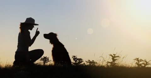 A woman holding up her finger to a dog.