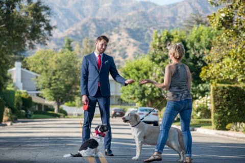 A businessman walking his dog and talking to another dog owner.