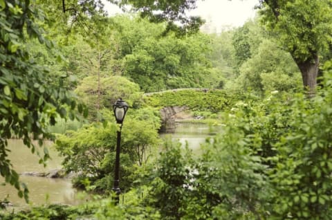 Gapstow Bridge in Central Park.