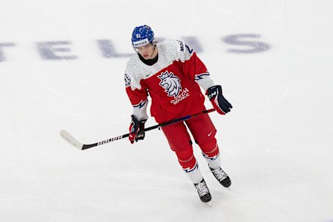 Jaromir Pytlik #21 of the Czech Republic (Photo by Codie McLachlan/Getty Images)