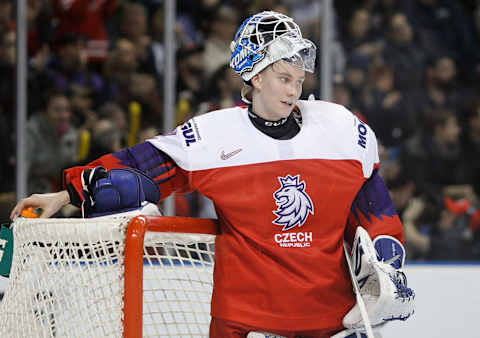 Goaltender Lukas Dostal #2 of the Czech Republic (Photo by Kevin Light/Getty Images)