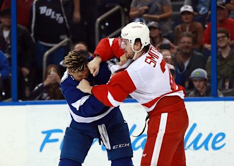 Mar 22, 2016; Tampa, FL, USA; Detroit Red Wings defenseman Brendan Smith (2) and Tampa Bay Lightning right wing J.T. Brown (23) fight during the second period at Amalie Arena. Mandatory Credit: Kim Klement-USA TODAY Sports