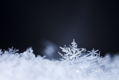 A snowflake in snow on a dark background.