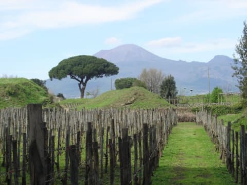 Mount Vesuvius