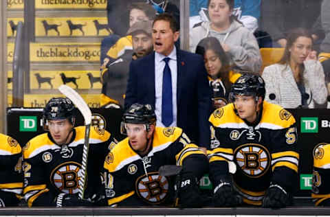 Boston Bruins interim head coach Bruce Cassidy. Mandatory Credit: Winslow Townson-USA TODAY Sports