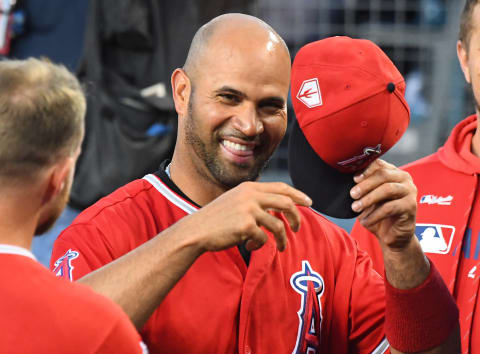 Albert Pujols (Photo by Jayne Kamin-Oncea/Getty Images)