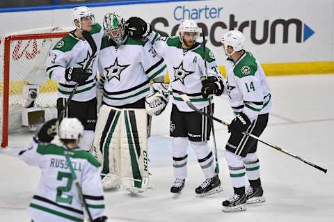 May 9, 2016; St. Louis, MO, USA; Dallas Stars teammates celebrate after defeating the St. Louis Blues 3-2 in game six of the second round of the 2016 Stanley Cup Playoffs at Scottrade Center. Mandatory Credit: Jasen Vinlove-USA TODAY Sports