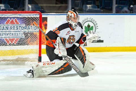 Mads Søgaard #30 of the Medicine Hat Tigers (Photo by Marissa Baecker/Getty Images)