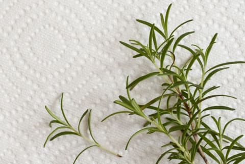 Rosemary on a paper towel