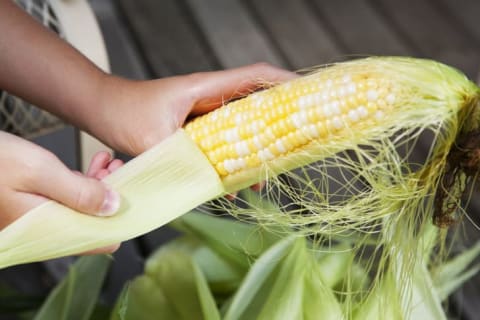 Shucking corn