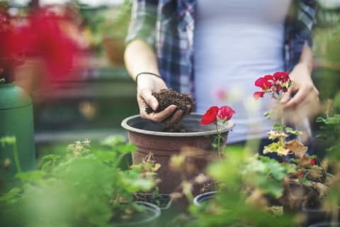 A woman in a garden holds potting soil in one hand.