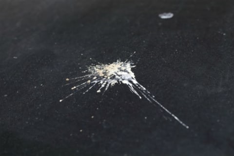 Bird waste splatters on a car hood