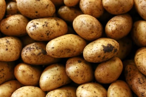 A pile of dirty, unwashed potatoes