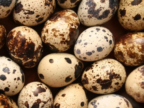 Quail eggs