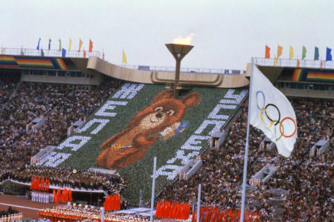 Picture of bear in stadium crowd.