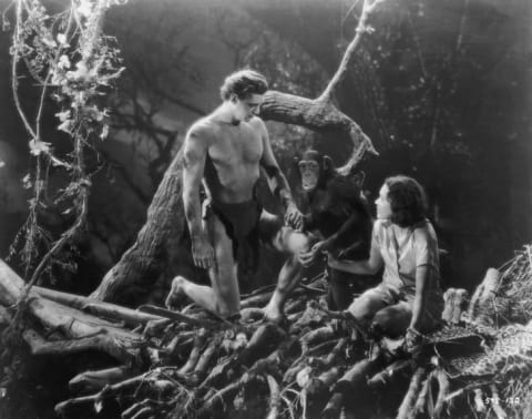 American actors Johnny Weissmuller as Tarzan and Maureen O'Sullivan as Jane.