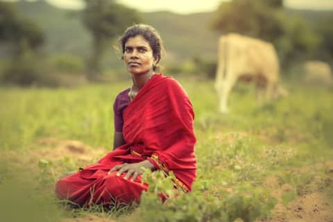 A woman sits in a field