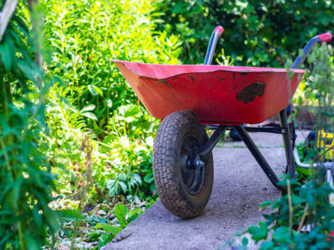 A picture of a red wheelbarrow