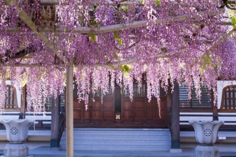 Koenji temple in Ichikawa, Chiba Prefecture