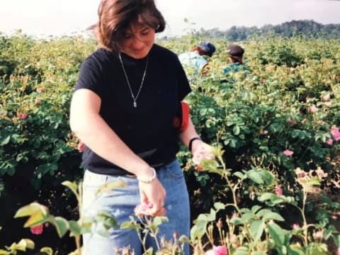 Jodi Wilson picks roses for distillation while studying at the Roure Perfumery School (now called the Givaudan Perfumery School) in Grasse, France, during the 1991-92 academic year.