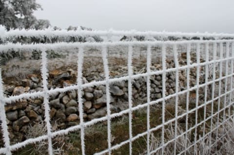 Hoar frost on a fence