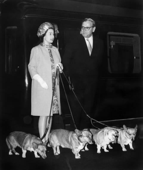 Queen Elizabeth II arrives at King's Cross railway station in London 15 October 1969 with her four dogs