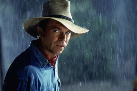 Sam Neill in Jurassic Park (1993).