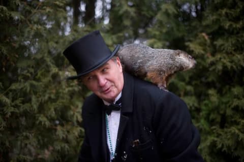 Groundhog handler John Griffiths holds Punxsutawney Phil in 2012.