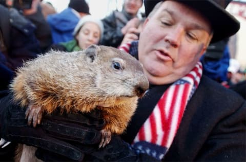 Punxsutawney Phil with a carrier.