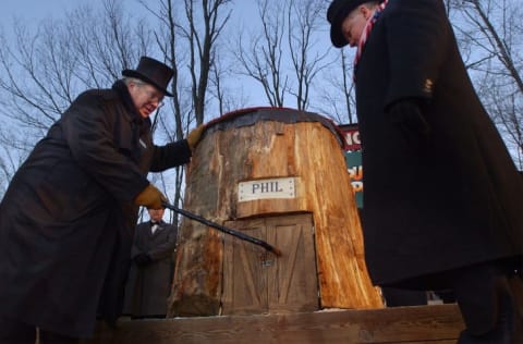 Members of Punxsutawney's 'Inner Circle' tap on Punxsutawney Phil's door as they entice him out February 2.