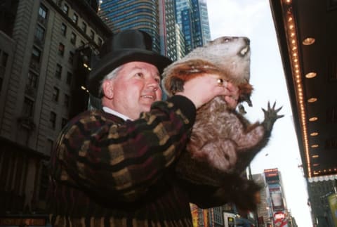 Punxsutawney Phil visits New York City in 2001.