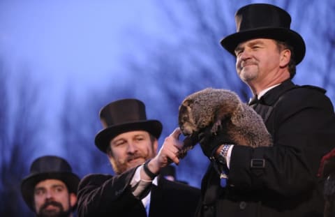 Punxsutawney Phil with his groundhog inner circle.