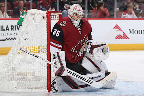 GLENDALE, ARIZONA – DECEMBER 19: Goaltender Darcy Kuemper . (Photo by Christian Petersen/Getty Images)