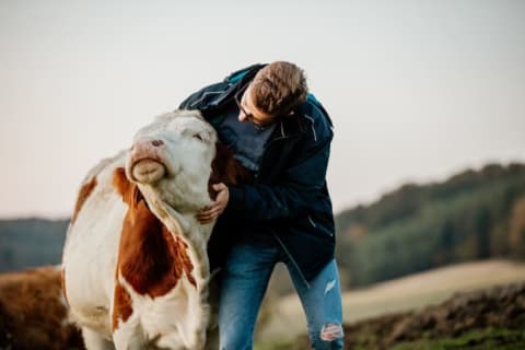 Be kind to cows.