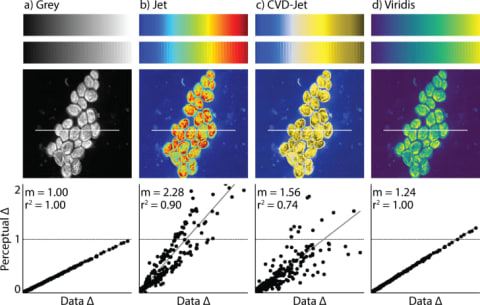 The new blue-yellow color scale is labelled CVD-Jet