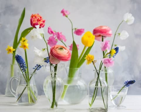 Bright, beautiful flowers in several clear vases.