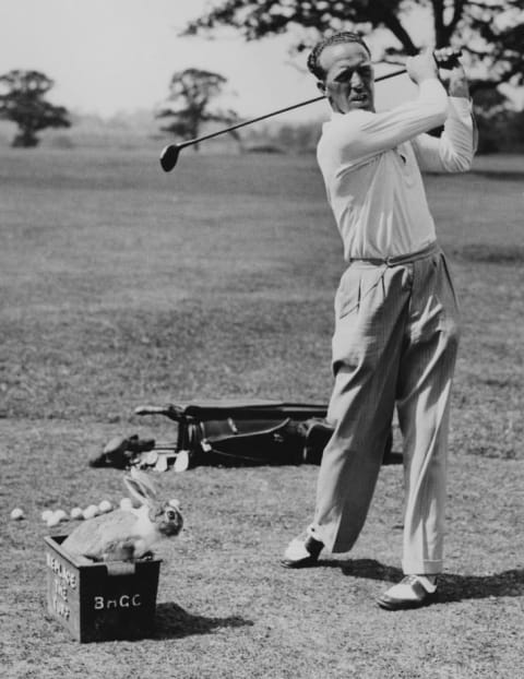 A golfer makes a practice drive while his pet rabbit minds the balls; 1938.