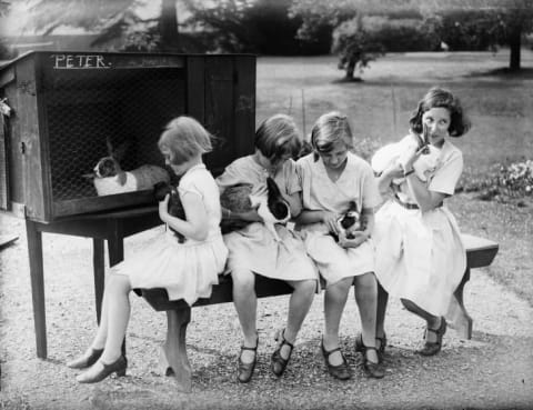 Schoolgirls care for pet rabbits, 1932.