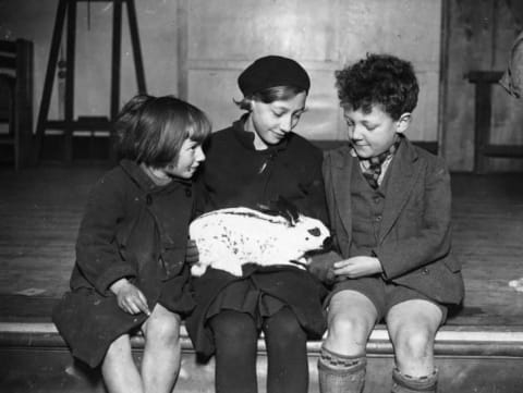 Three children hold a rabbit, 1935.