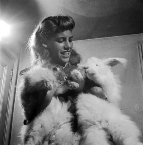 A woman shows off her two pet angora rabbits, circa 1955.