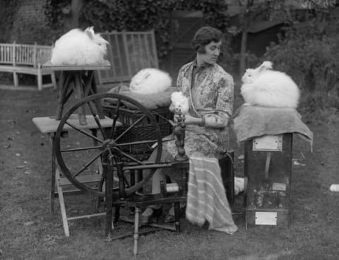 A woman spinning Angora rabbit wool in her garden, 1930.