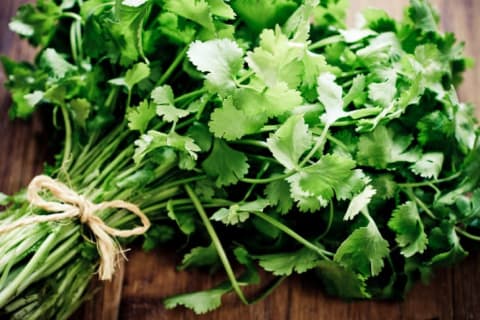 A bunch of cilantro tied together with a string