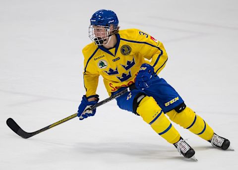 Adam Boqvist (Photo by Dave Reginek/Getty Images)