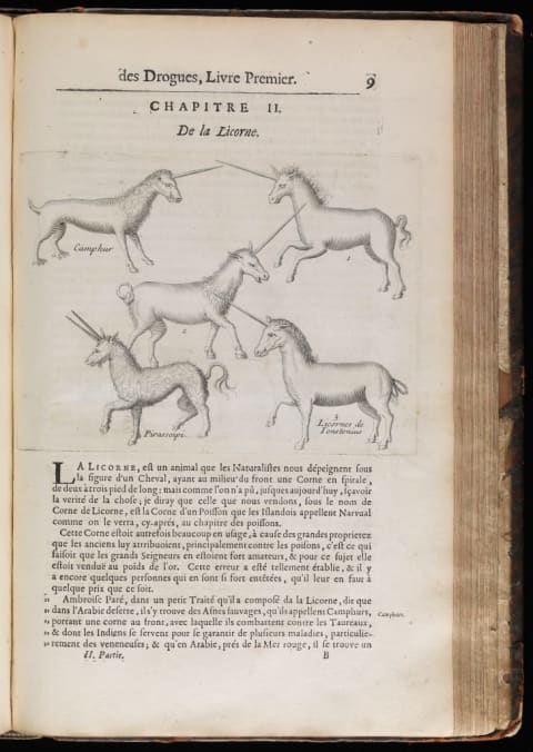 A page from a 17th-century French medical text discussing unicorns