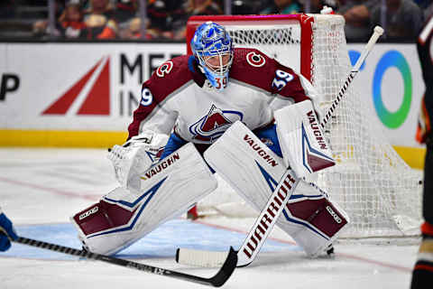 Apr 9, 2023; Anaheim, California, USA; Pavel Francouz. Mandatory Credit: Gary A. Vasquez-USA TODAY Sports