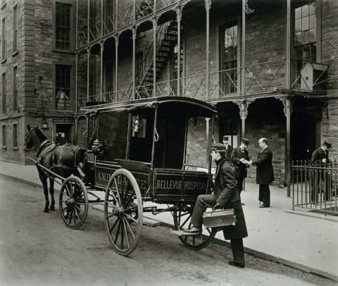 A horse-drawn ambulance outside New York City's Bellevue Hospital in 1895.