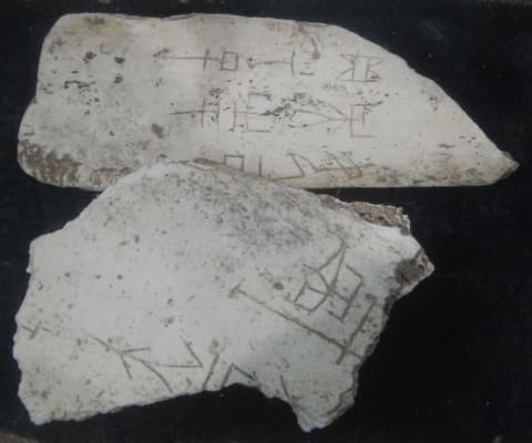 Pieces of oracle bone engraved with early Chinese writing from the Shang dynasty, collection of Pitt Rivers Museum, Oxford University