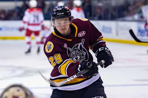 ROSEMONT, IL – JUNE 08: Chicago Wolves center Cody Glass (29) warms up prior to game five of the AHL Calder Cup Finals against the Charlotte Checkers on June 8, 2019, at the Allstate Arena in Rosemont, IL. (Photo by Patrick Gorski/Icon Sportswire via Getty Images)