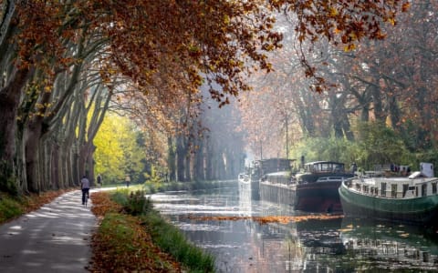 A portion of the the Canal du Midi near Toulouse.