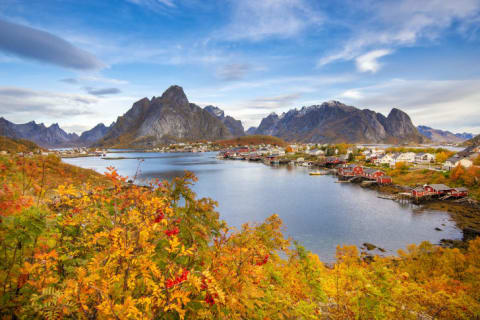 In the Lofoten Islands, fall brings both colorful foliage and the Northern Lights.